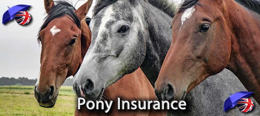 Image of the Pony Insurance in the UK